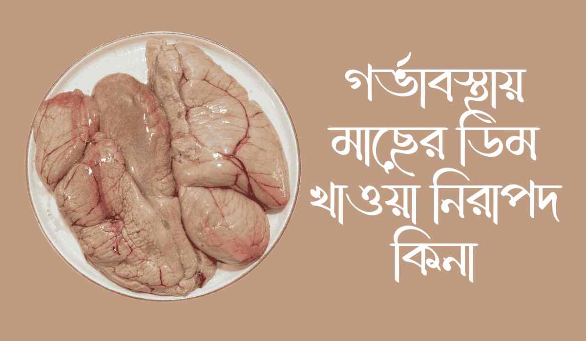 গর্ভাবস্থায় মাছের ডিম খাওয়া নিরাপদ কিনা