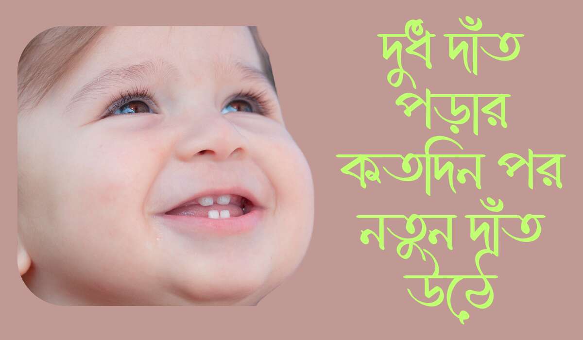 দুধ দাঁত পড়ার কতদিন পর নতুন দাঁত উঠে