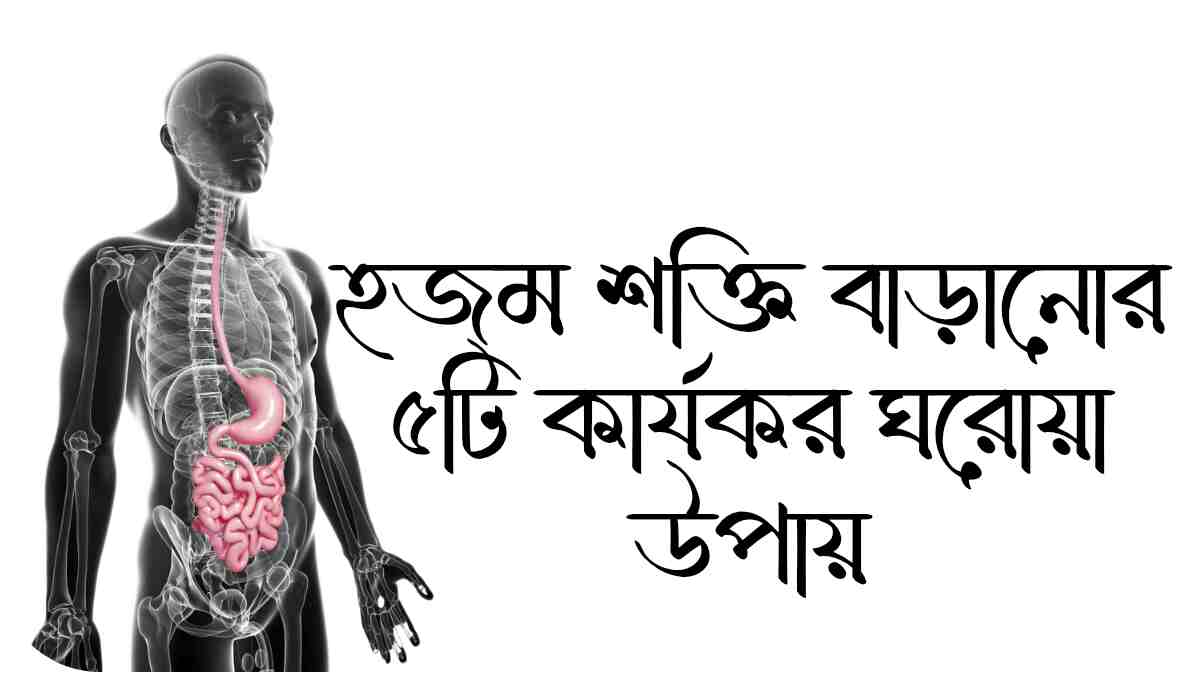হজম শক্তি বাড়ানোর ৫টি কার্যকর ঘরোয়া উপায়