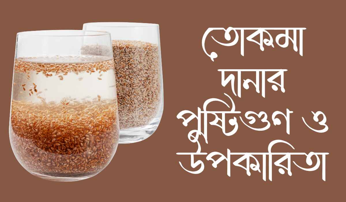 তোকমা দানার পুষ্টিগুণ ও উপকারিতা